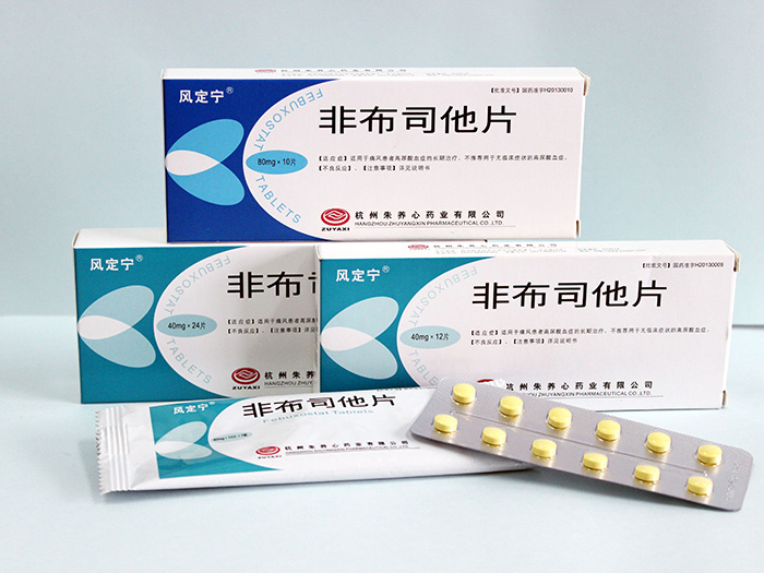 非布司他片（20mg、 40mg）